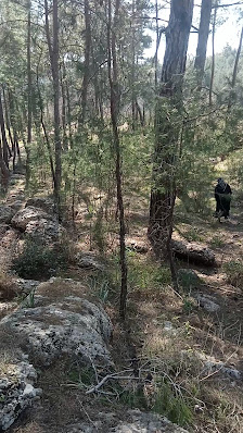 Karasuluk Mesire Alanı Yerel İşletme fotoğrafı 4